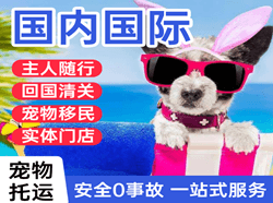 长安机场邮寄国际宠物托运 【国
